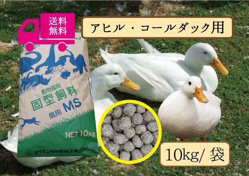 送料無料【アヒル、コールダック用飼料】　10kg