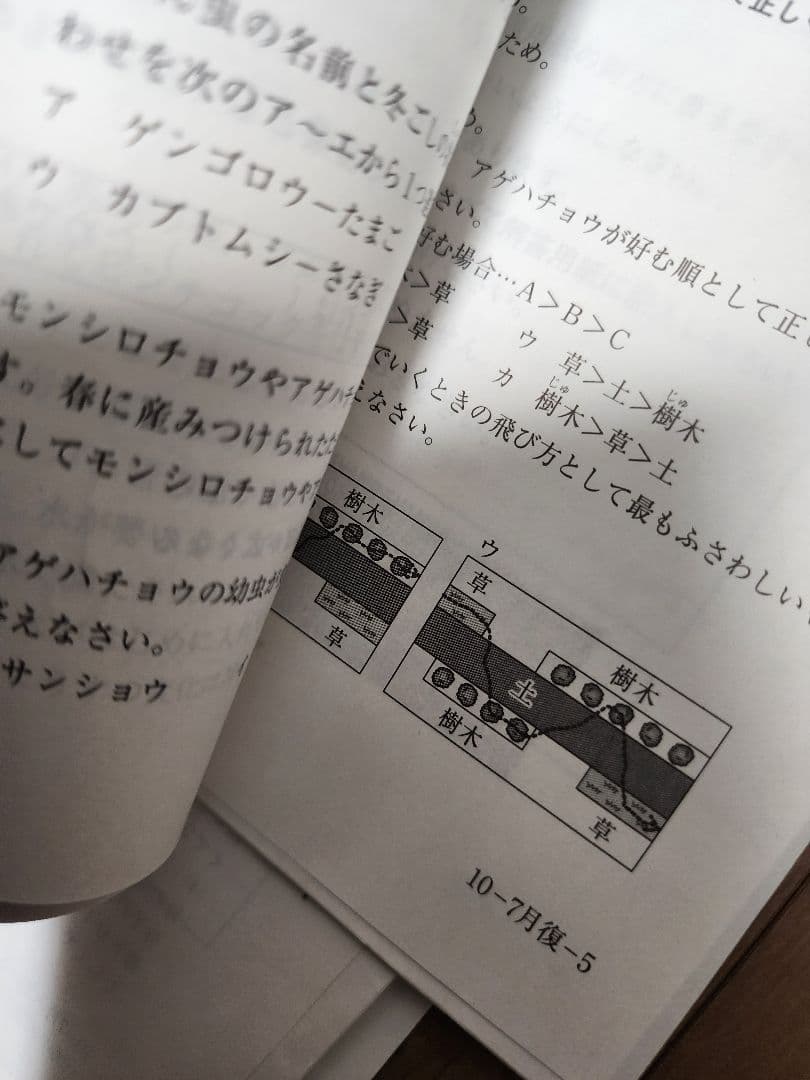 サピックス 5年生テスト 2010年分 (全10回)セット