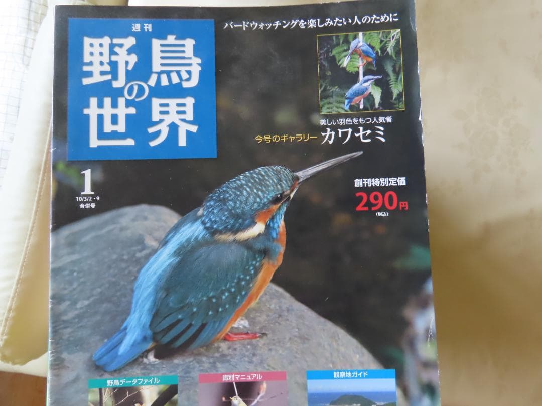週刊野鳥の世界全121巻揃い　ティアゴスティニ発行　定価70180円 美品