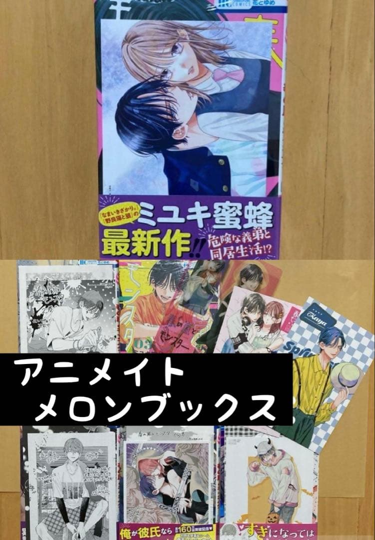 初版 全巻 9冊 特典 春の嵐とモンスター メロンブックス イラストカード