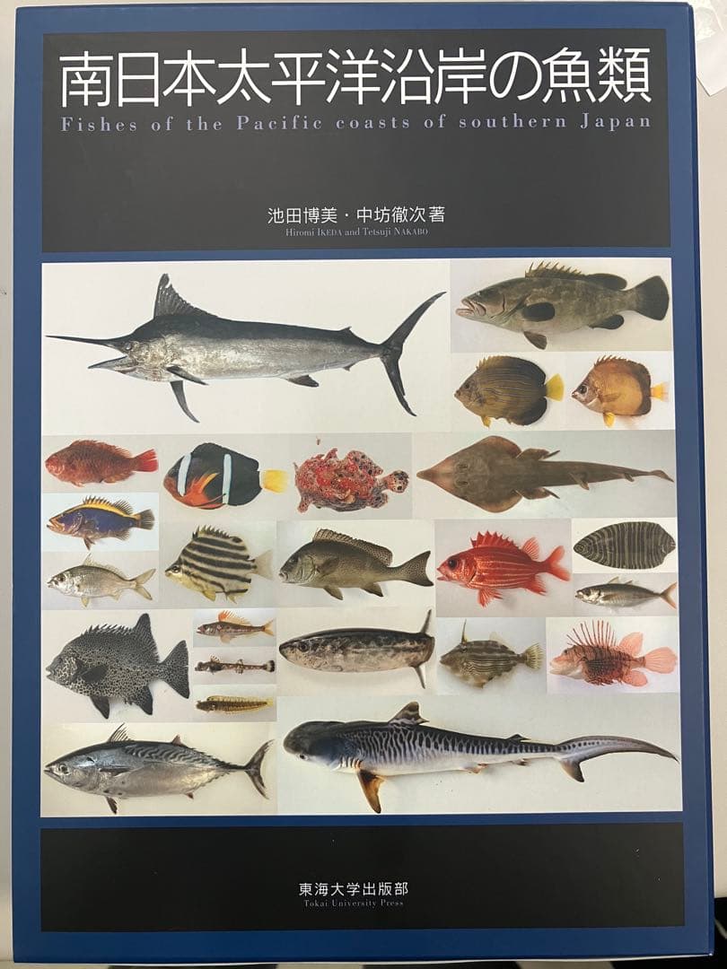 たっちゃんさま、南日本太平洋沿岸の魚類