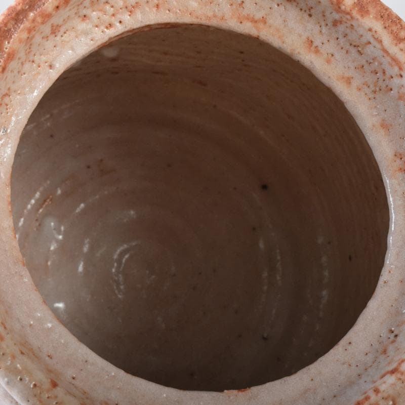 茶道具　本阿弥光仙作　志野焼　絵志野　山水文　水指　共箱　C　7514