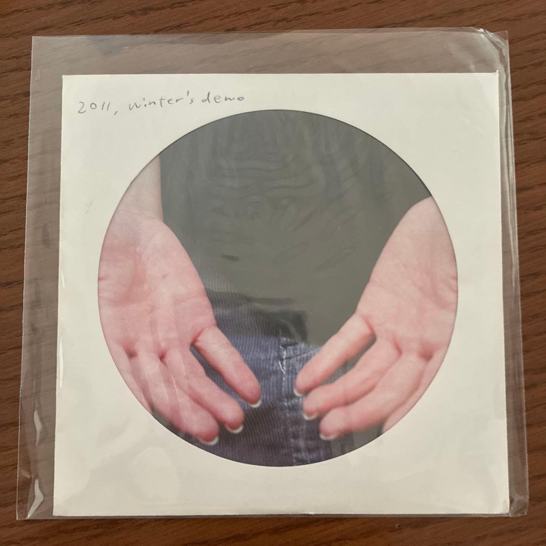 柴田聡子 2011、冬のデモ