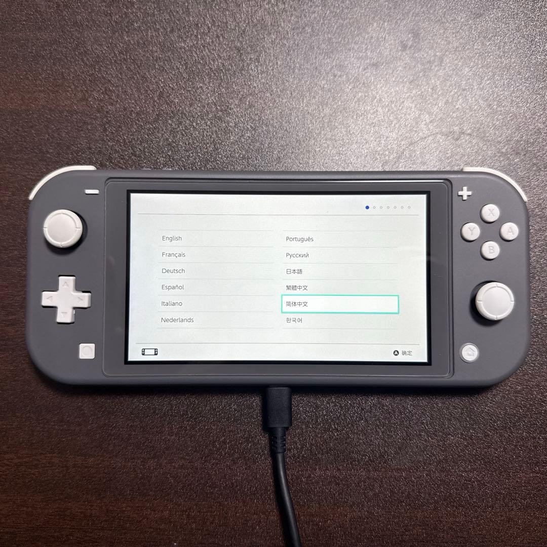 Nintendo Switch Lite グレー 本体のみ、おまけ付き