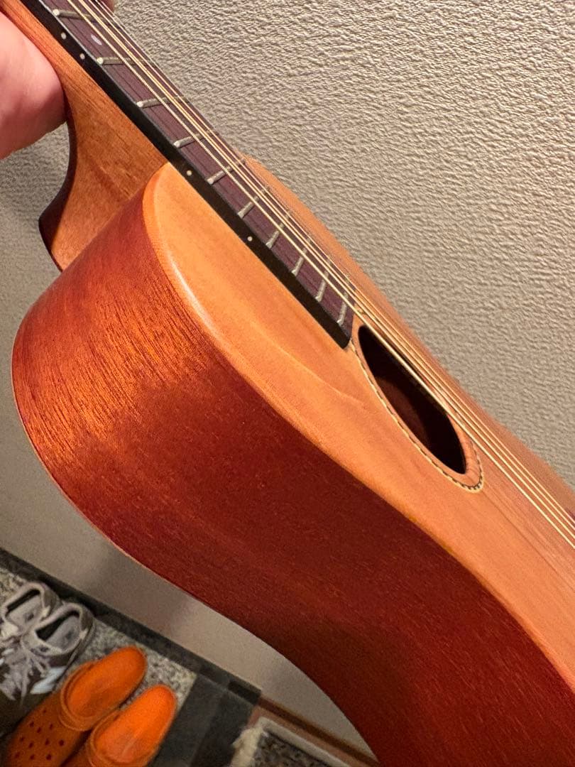 SX トラベラーギター TG1