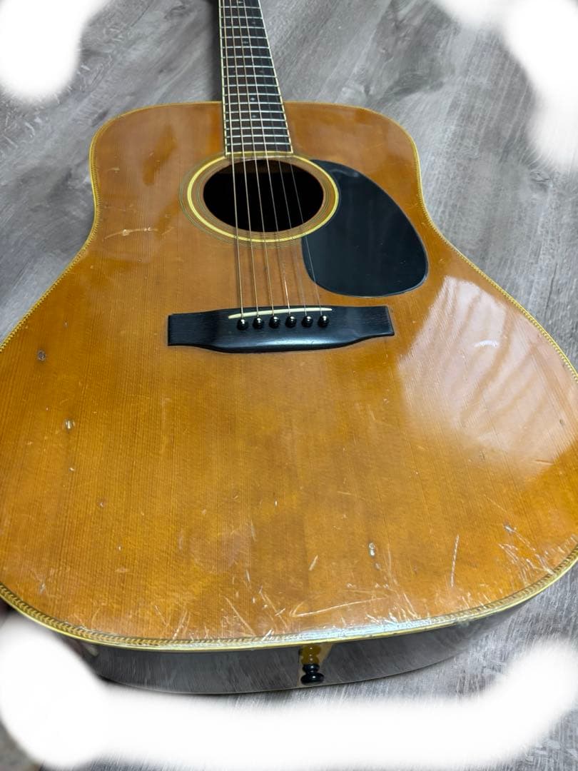 Morris & Co. アコースティックギター W 50 H