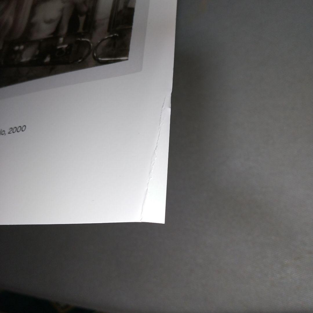 Helmut newton/polaroids 【l4】