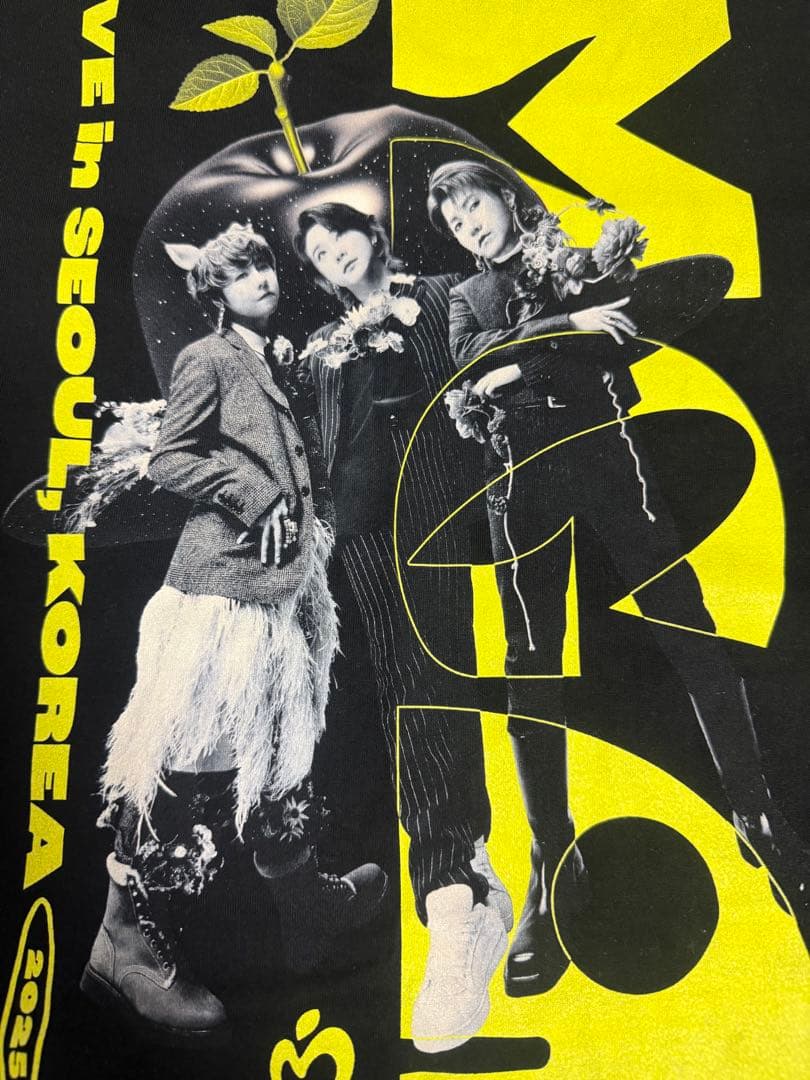 Mrs. GREEN APPLE 韓国 Tシャツ ミセス