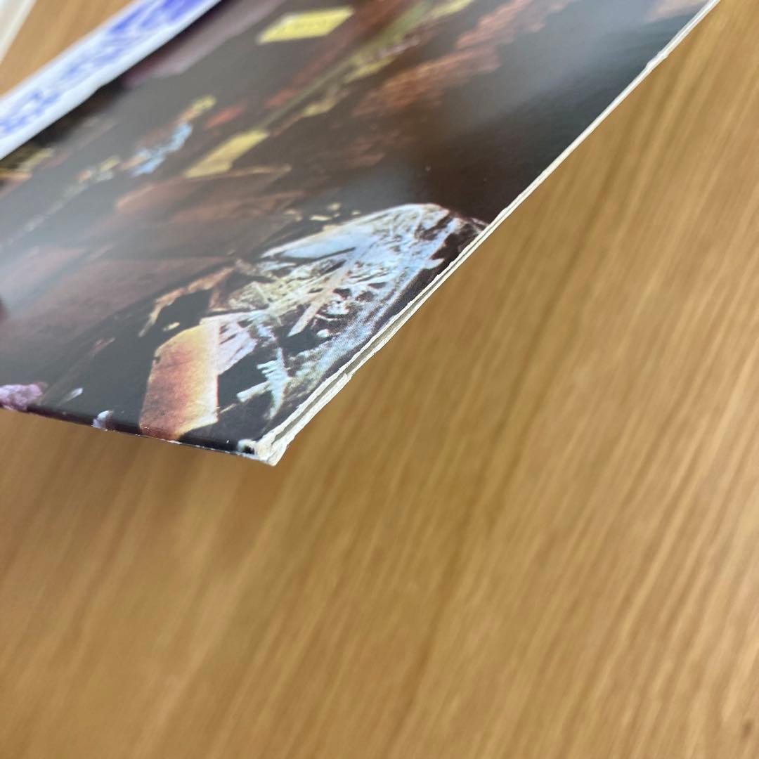 【国内版】デヴィッド・ボウイ ZIGGY STARDUST LPレコード 帯付き