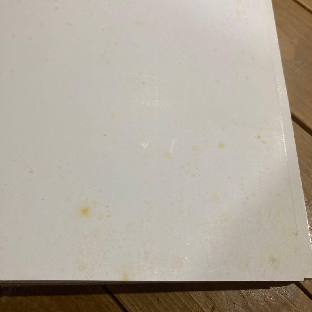 アート・デザイン・音楽 matisse paper cutouts