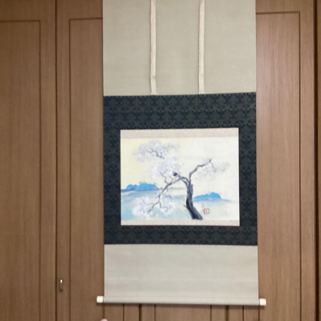 富田渓仙　　紙本彩色画　【　櫻　華　図　】《大智勝観　鑑識箱》タトウ箱　356