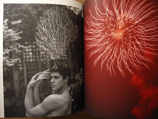 アート・デザイン・音楽 Roberto Bolle An Athlete in Tights