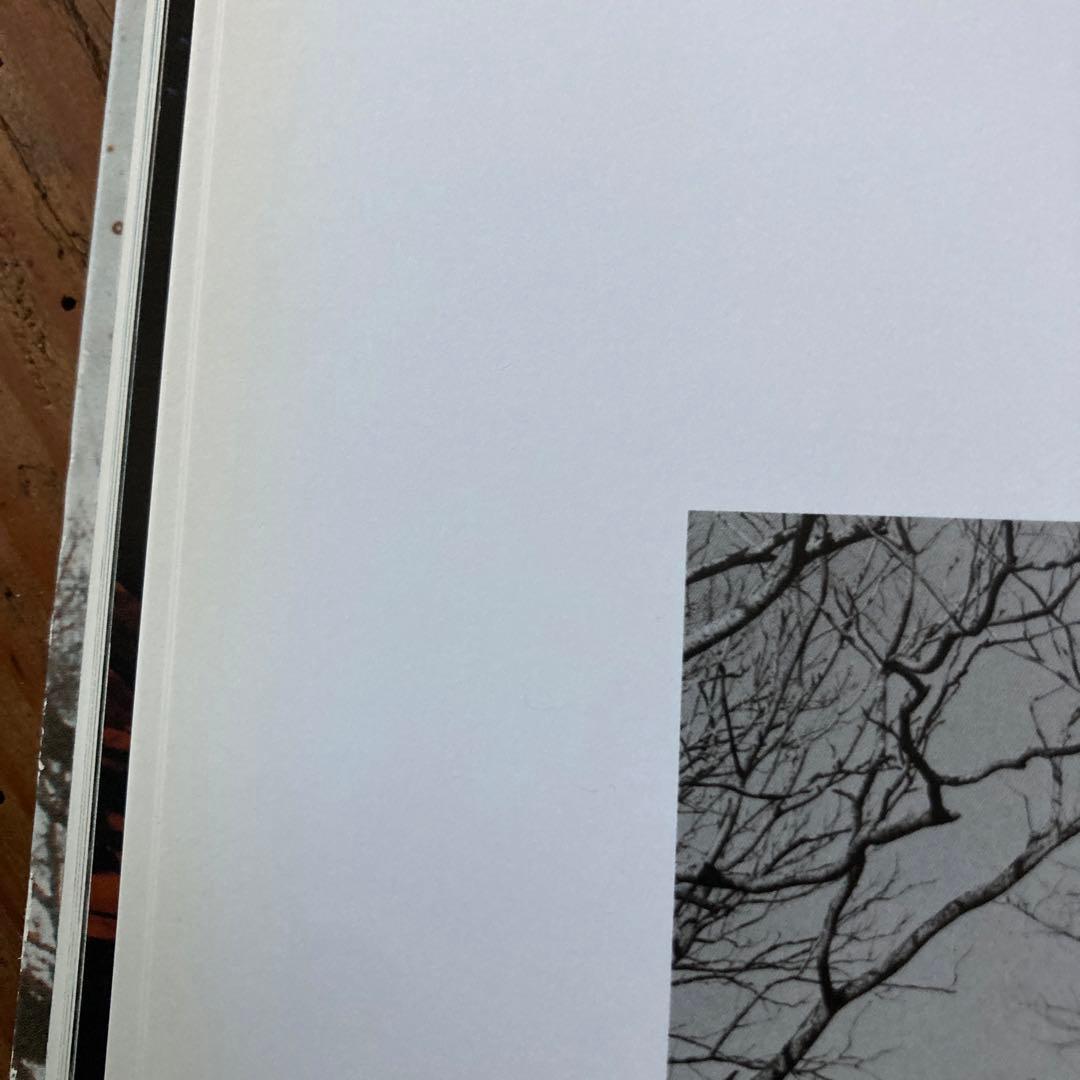 初版TaiyoOnorato NicoKrebs:TheGreat Unreal