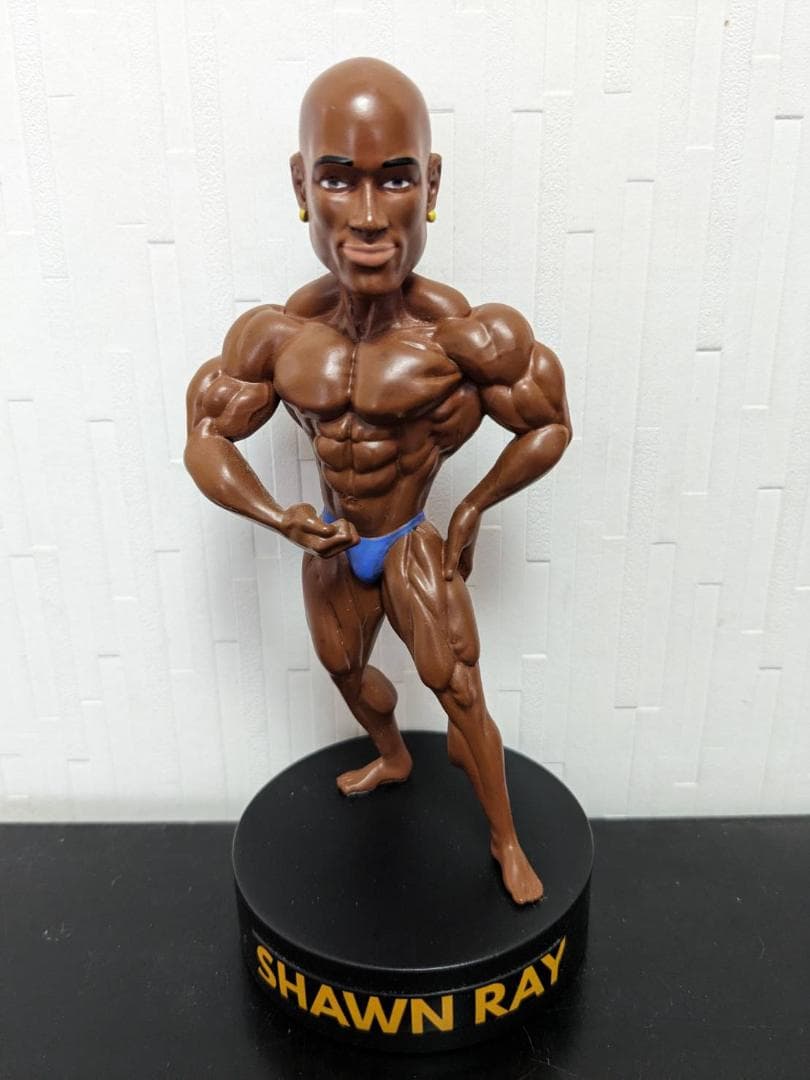 iron dolls ショーン・レイ フィギュア マッチョフィギュア