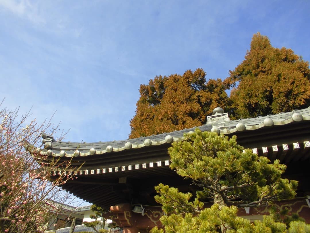 実写良⭕️【動作確認済】CASIO EXILIM EX-ZS29 デジカメ