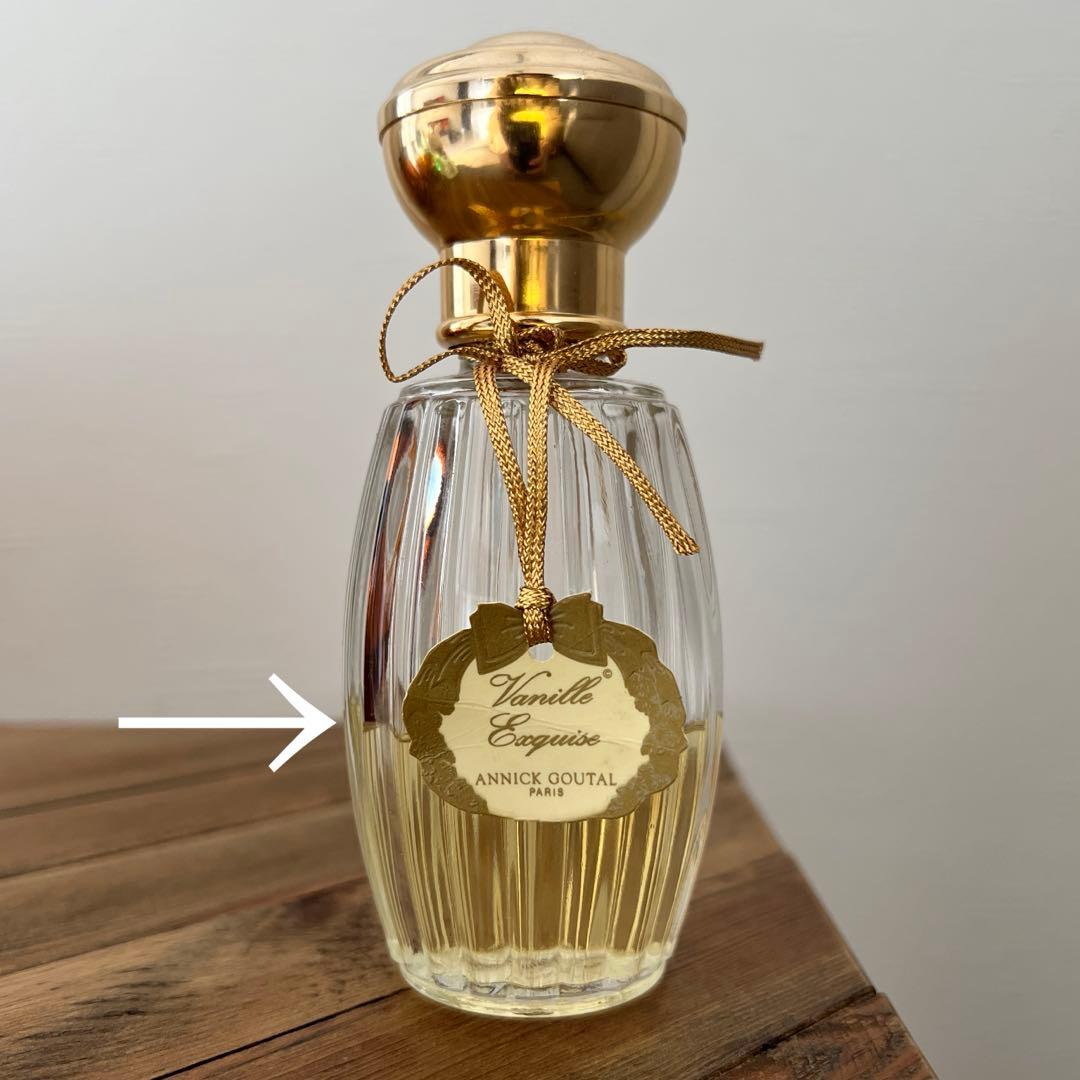 アニックグタール ヴァニーユエキスキーズ 100ml香水