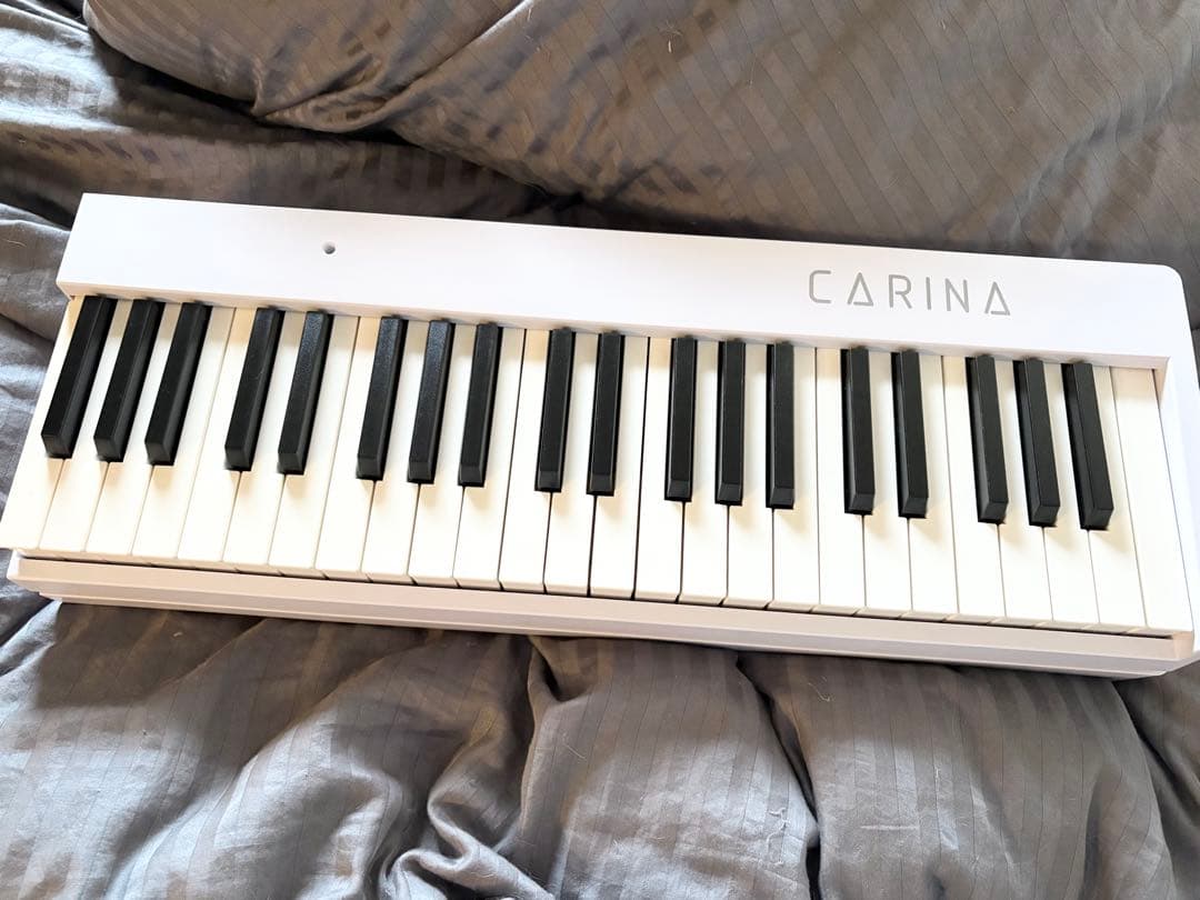 CARINA 88鍵電子ピアノ　送料込み
