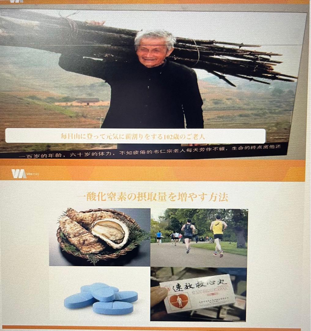 Viiva ポータブル　マットレス