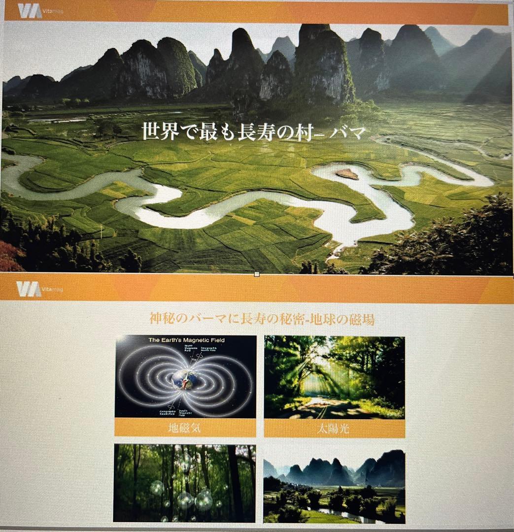 Viiva ポータブル　マットレス