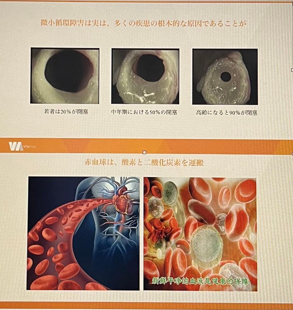 Viiva ポータブル　マットレス