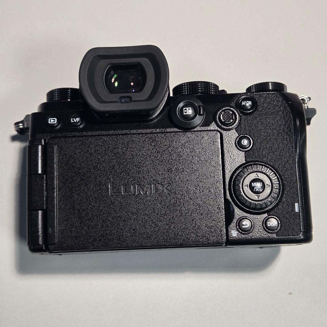 Panasonic LUMIX S5 & SmallRigケージ付き