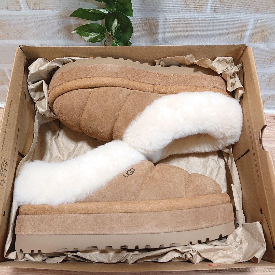 UGG アグ　Tazzlita　タズリータ チェスナット 25cm 厚底 新品