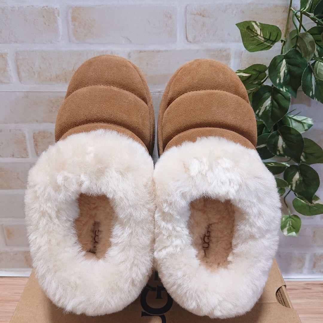 UGG アグ　Tazzlita　タズリータ チェスナット 25cm 厚底 新品