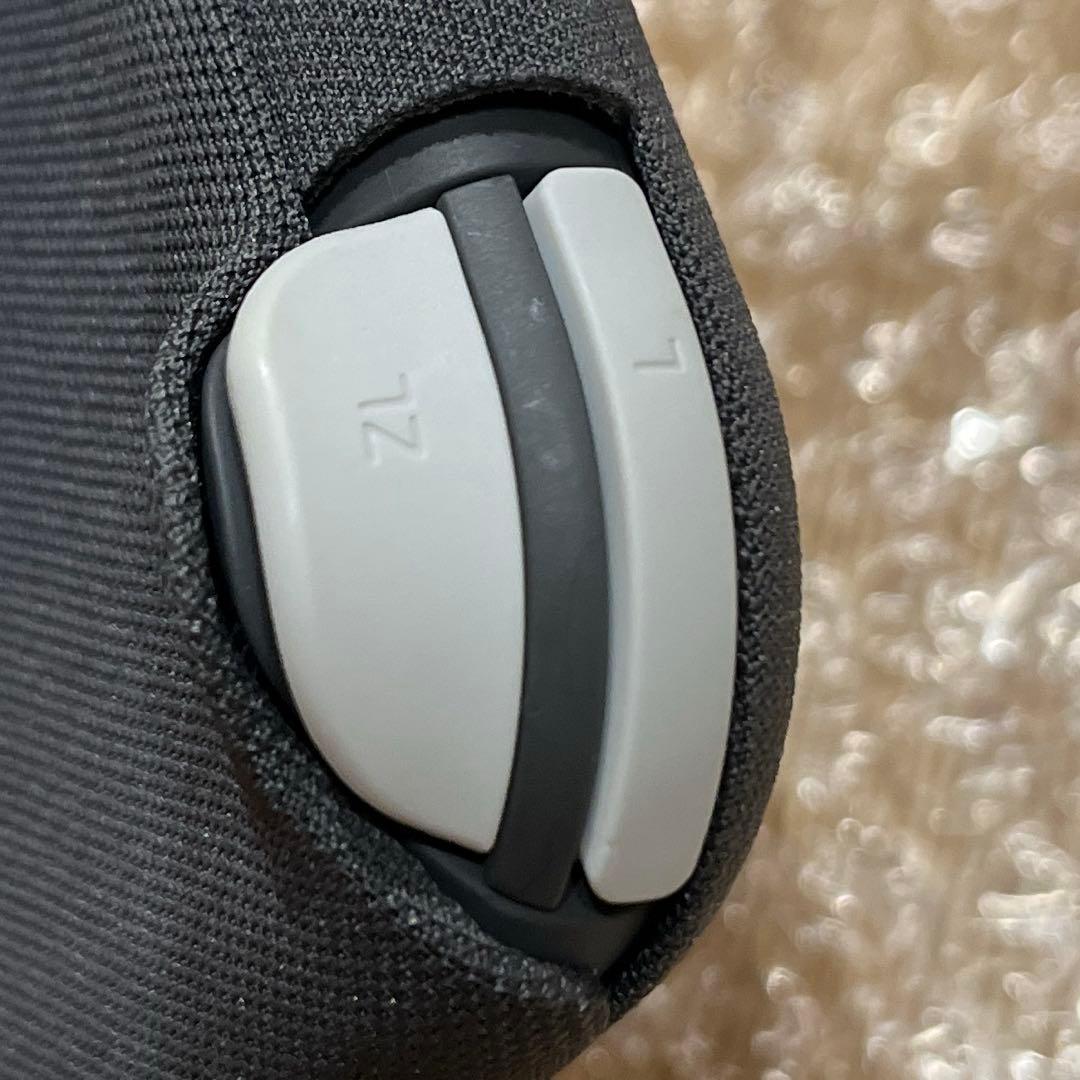 Nintendo Switch Lite グレー 本体（カバー付き）