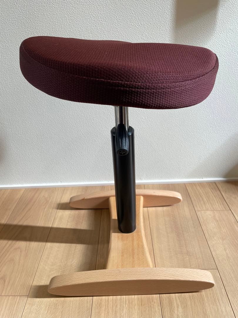 バランスシナジー（ラウンド型）（ボルドーの専用座面カバー付）