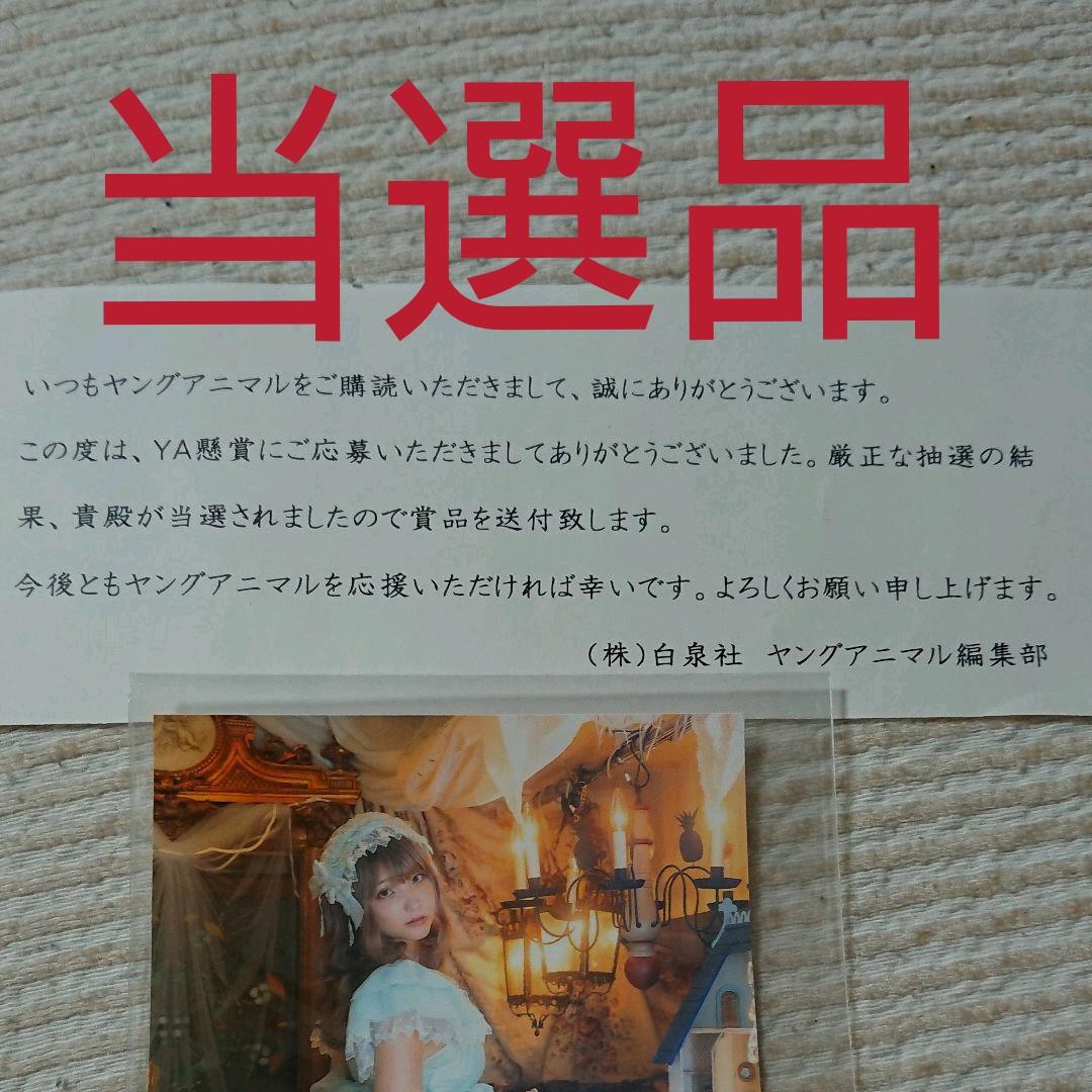 あまつ様、ヤングアニマル、グラビア、セクシー、当選、ブロマイド、サイン