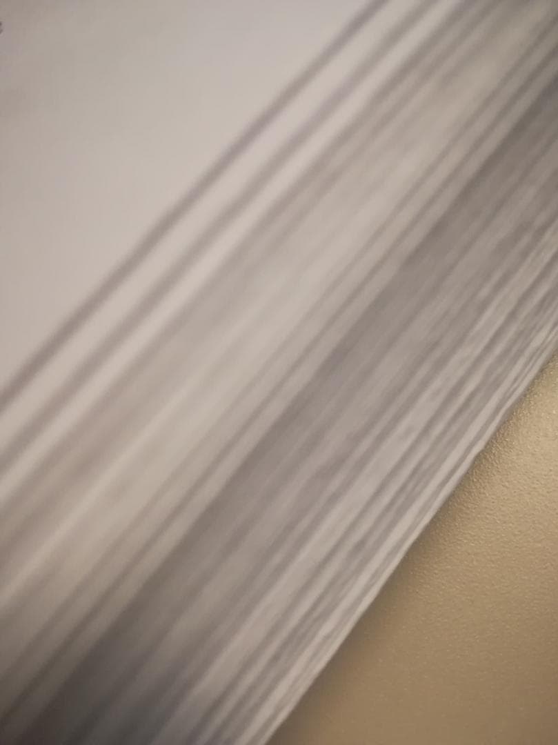 駿台　最新　景安先生　全分野の化学講義プリント　天然有機・高分子　鉄緑会　河合塾