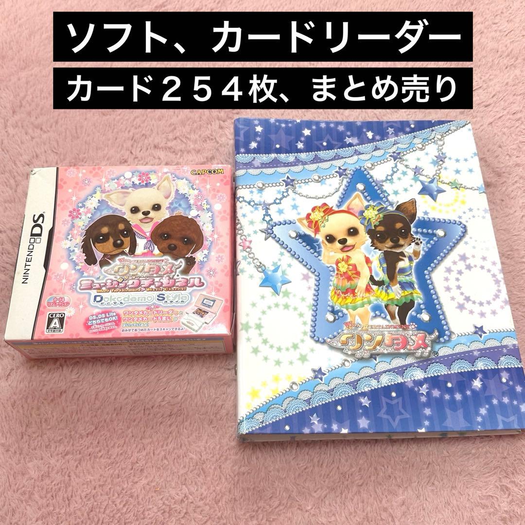 NINTENDO DS ゲームソフト ワンタメ ミュージックチャンネル