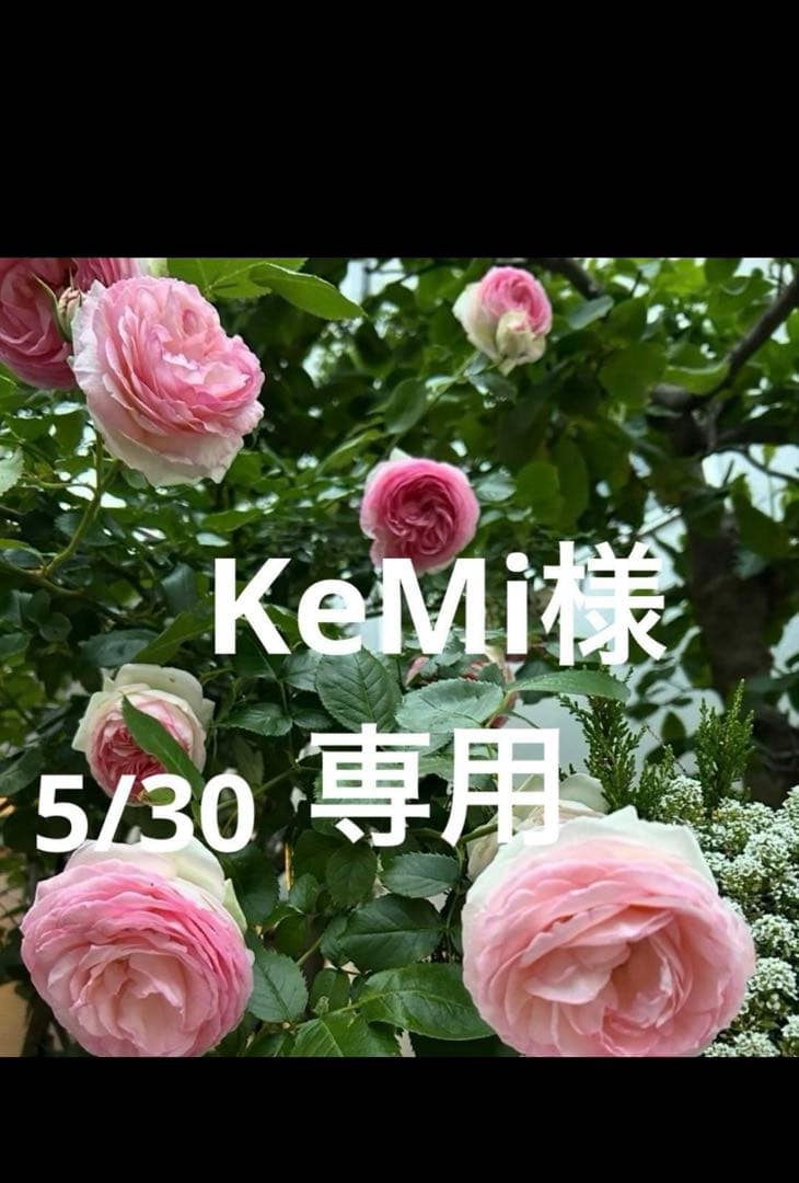KeMi様