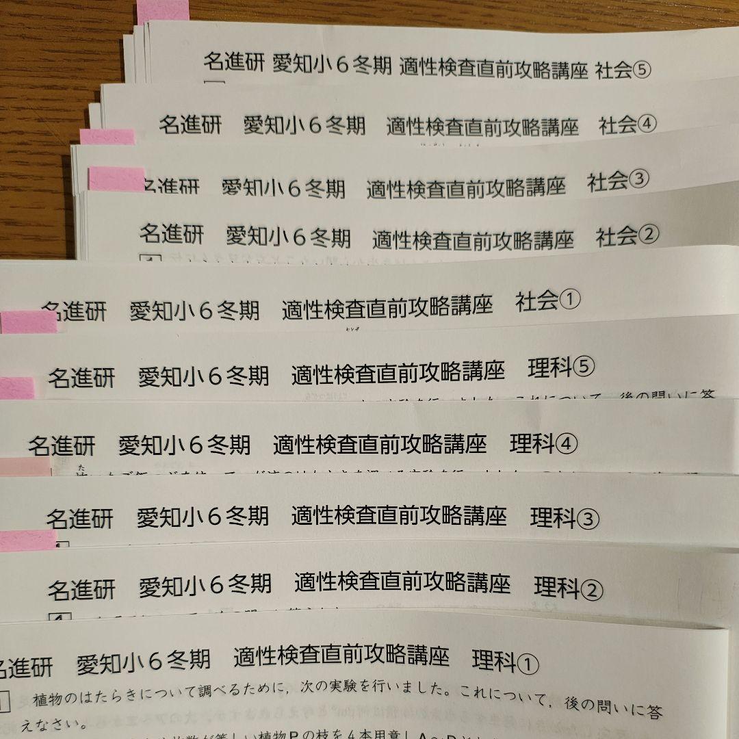 名進研　愛知県公立中高一貫 小6冬期 適性検査直前攻略講座プリント
