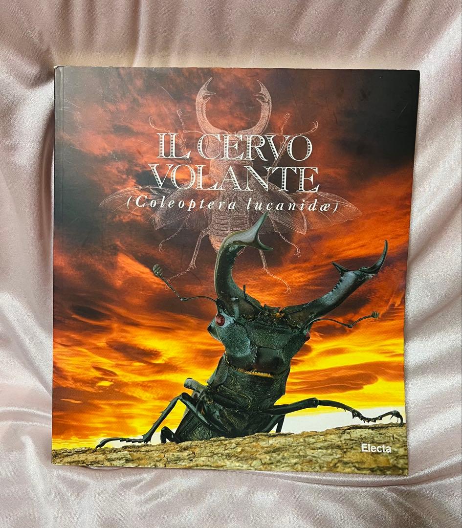 アート・デザイン・音楽 IL CERVo VOLANTE (Coleoptera lucanidae)