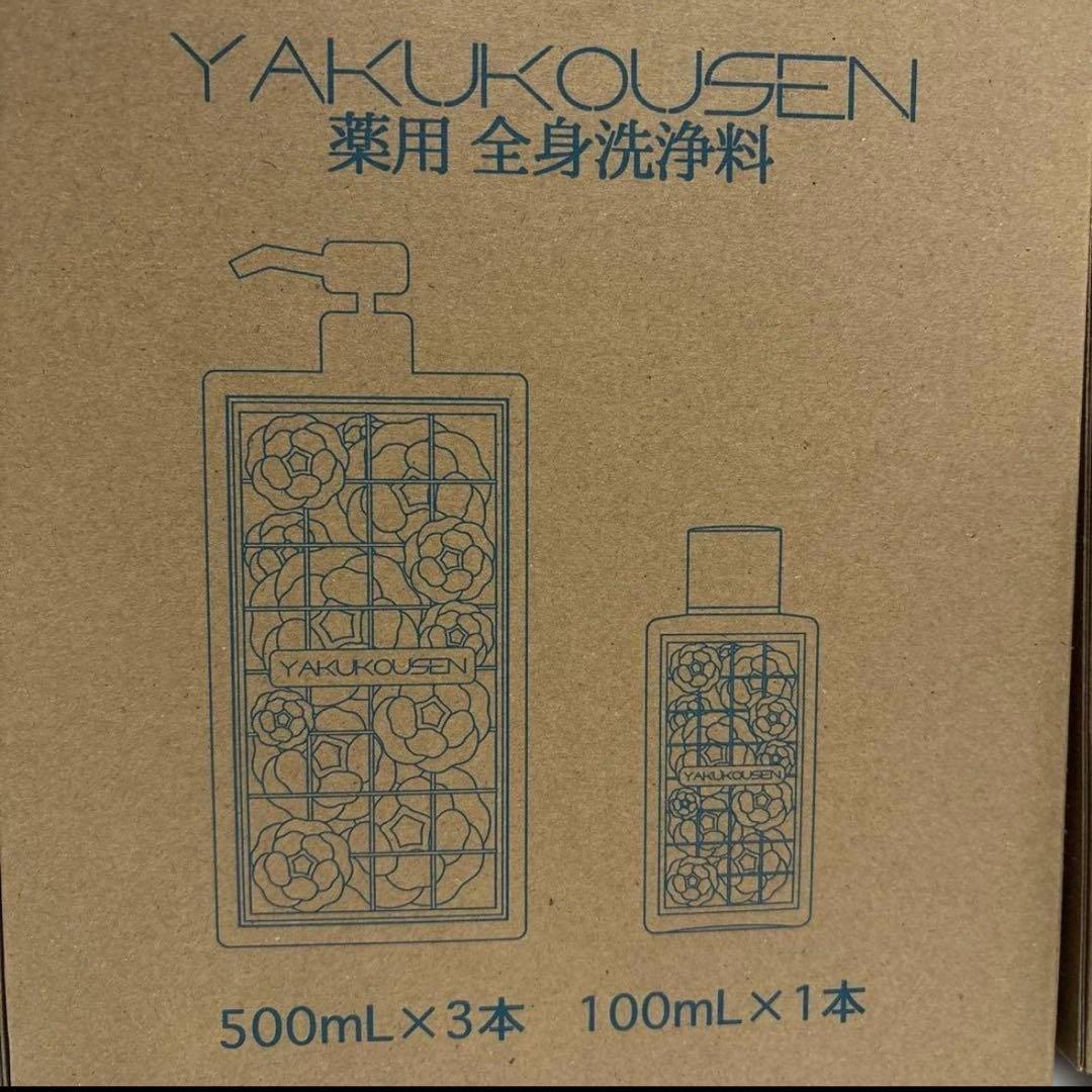全身洗浄に最適な薬用ボディソープ (500mLが3本と100mLが1本)×2箱