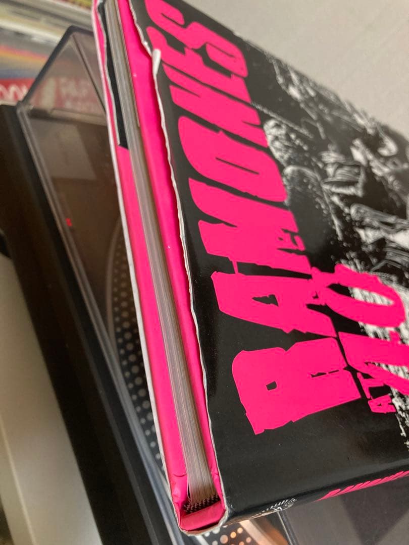 RAMOMES AT 40 ラモーンズ写真集