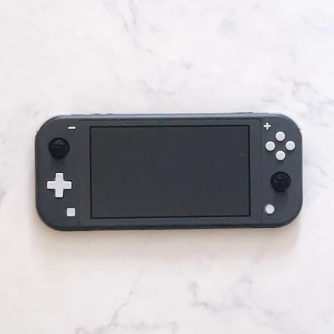 Nintendo Switch Lite グレー 本体 ジャンク