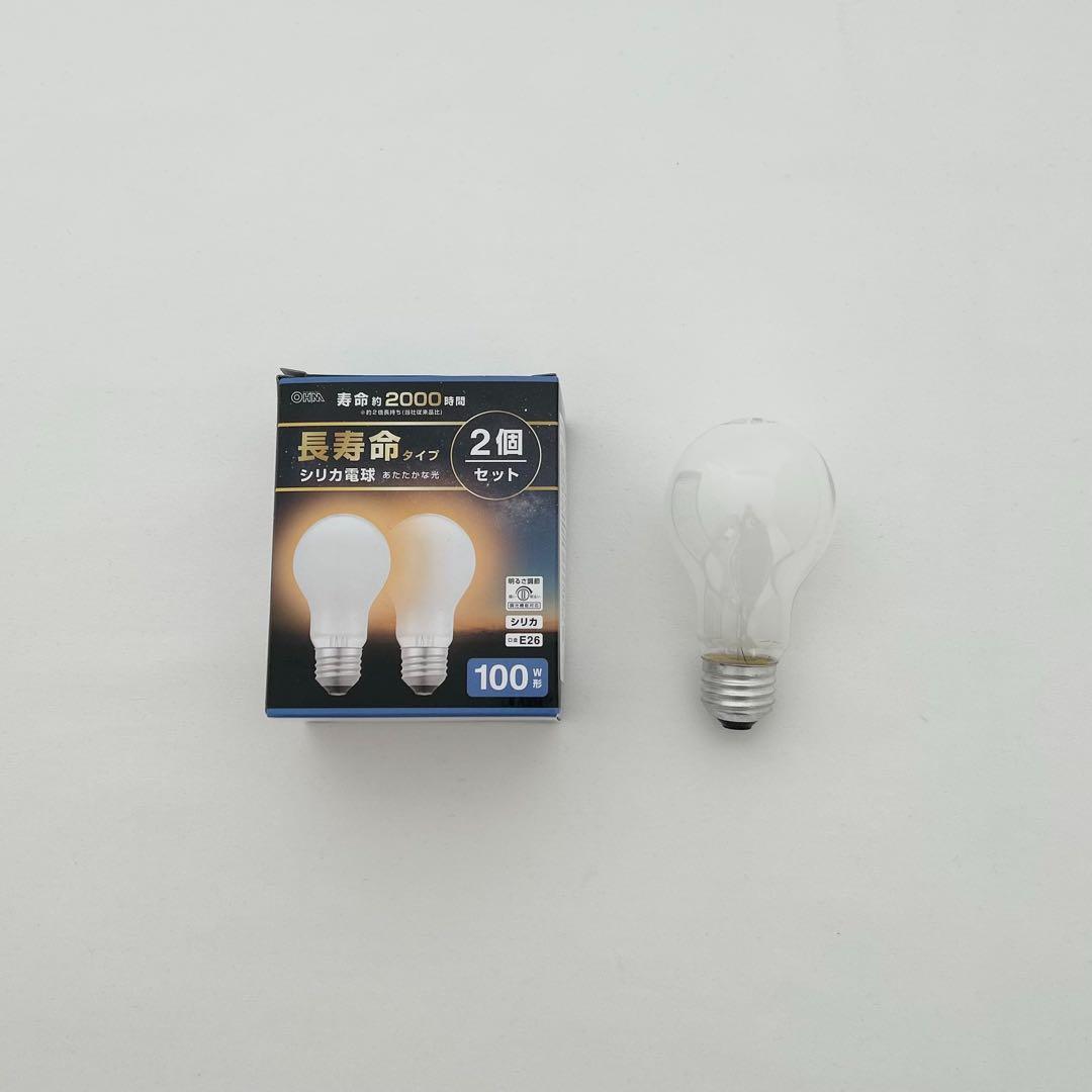 CLASKA クラスカ　ドー　アトリエランプ　天井照明　北欧風　電球付　ランプ