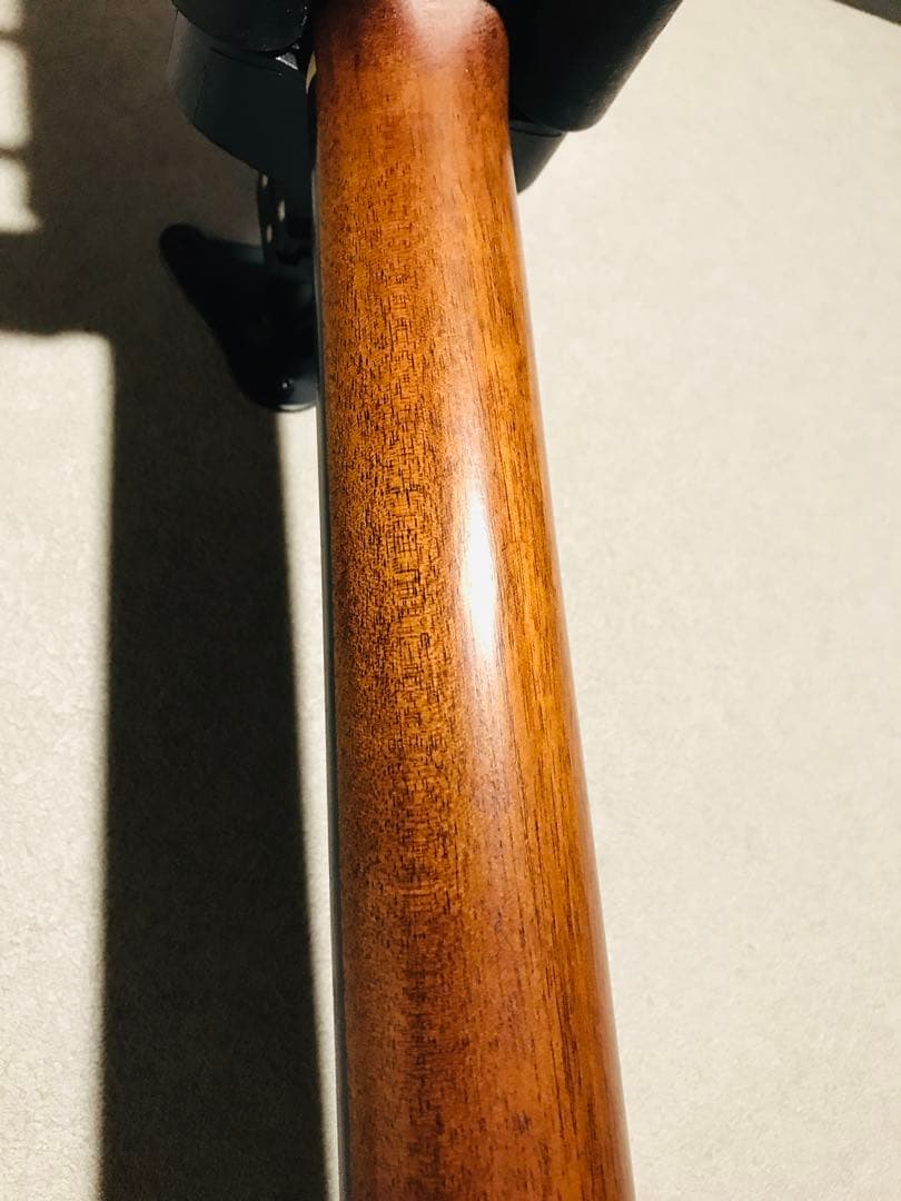 ようへい様ケース付き送料込値下げ！珍しいスロバキヤDOWINA