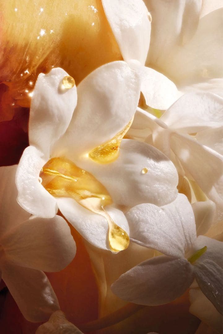 DIOR ラ コレクション ボディ ローション ジャスミン デ ザンジュ