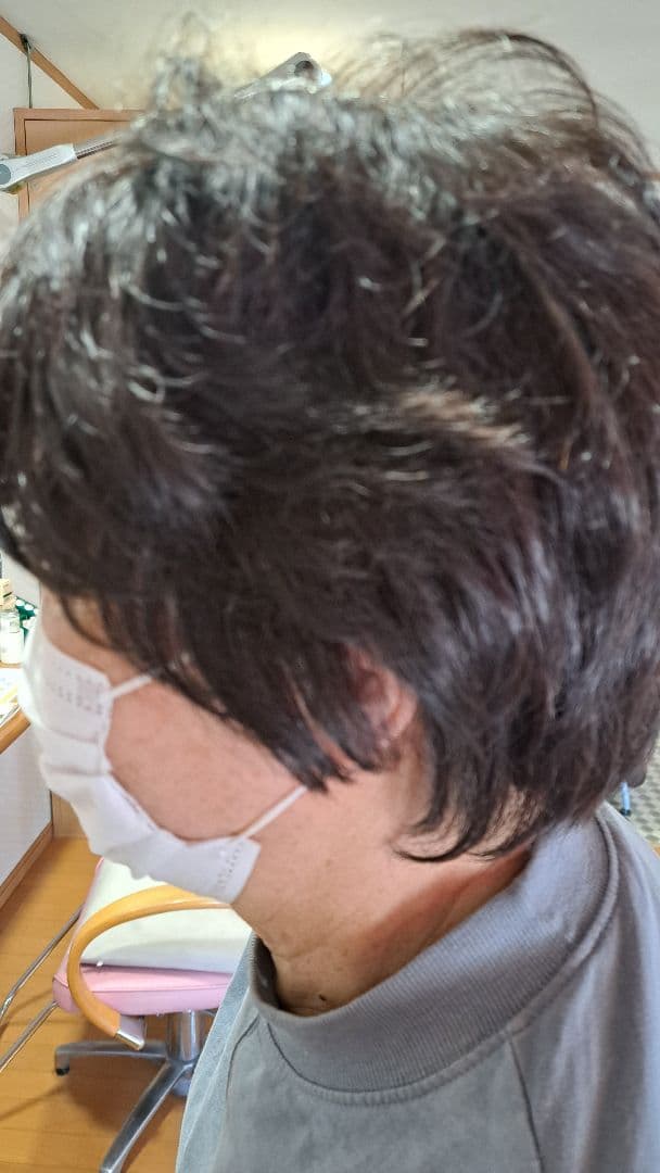 ショートウィッグ フォンテーヌダークブラウン 自然色