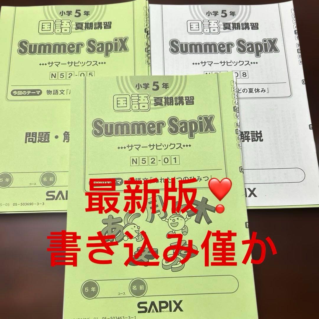 ㉔み　サピックス　SAPIX 5年　国語　サマーサピックス　夏期講習