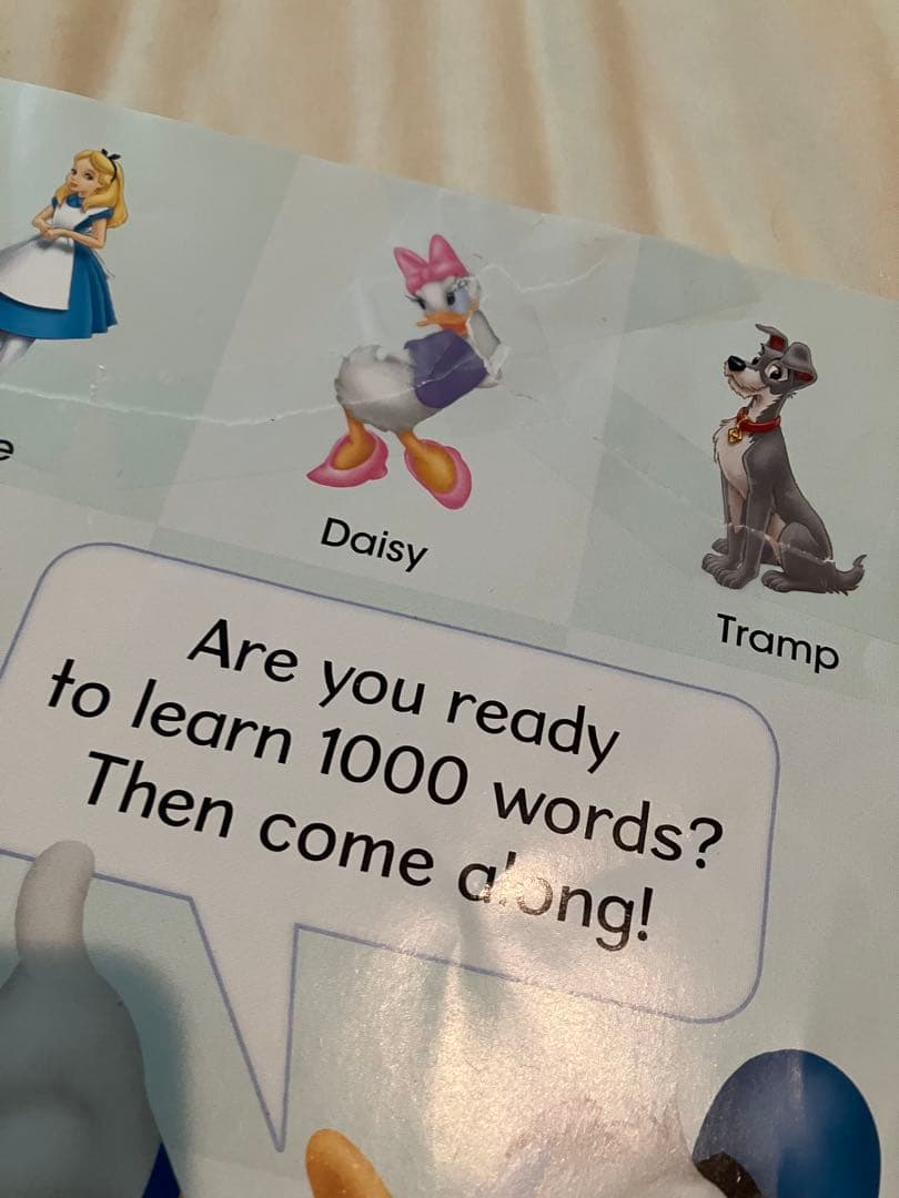 ディズニー英語　DWE My Big Book of Words 絵辞書