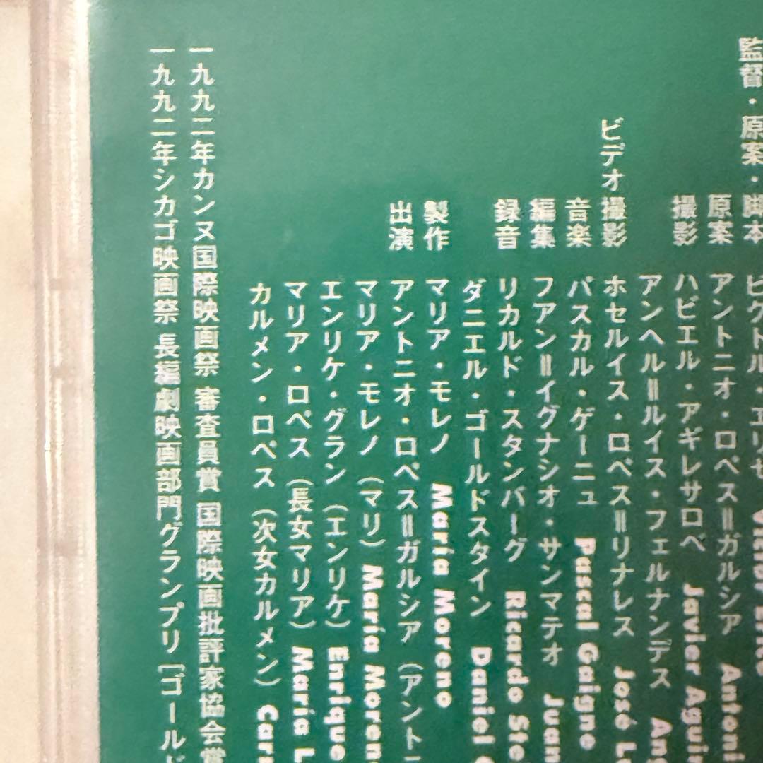 大雪特価‼️幻の傑作‼️「マルメロの陽光('92スペイン)」ヴィクトル・エリセ