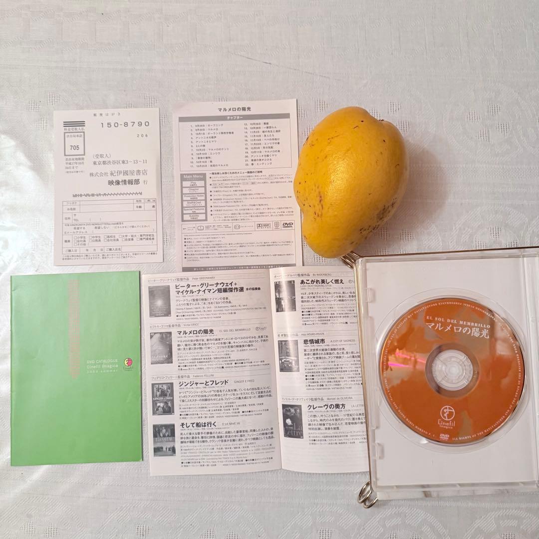 大雪特価‼️幻の傑作‼️「マルメロの陽光('92スペイン)」ヴィクトル・エリセ