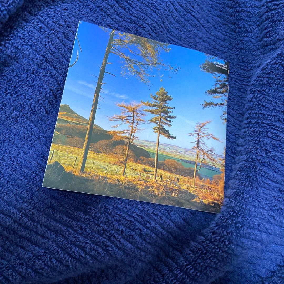 購入不可⭕️コープランド、ニューヨークフィルロンドン響　アパラチアの春、ロデオ他