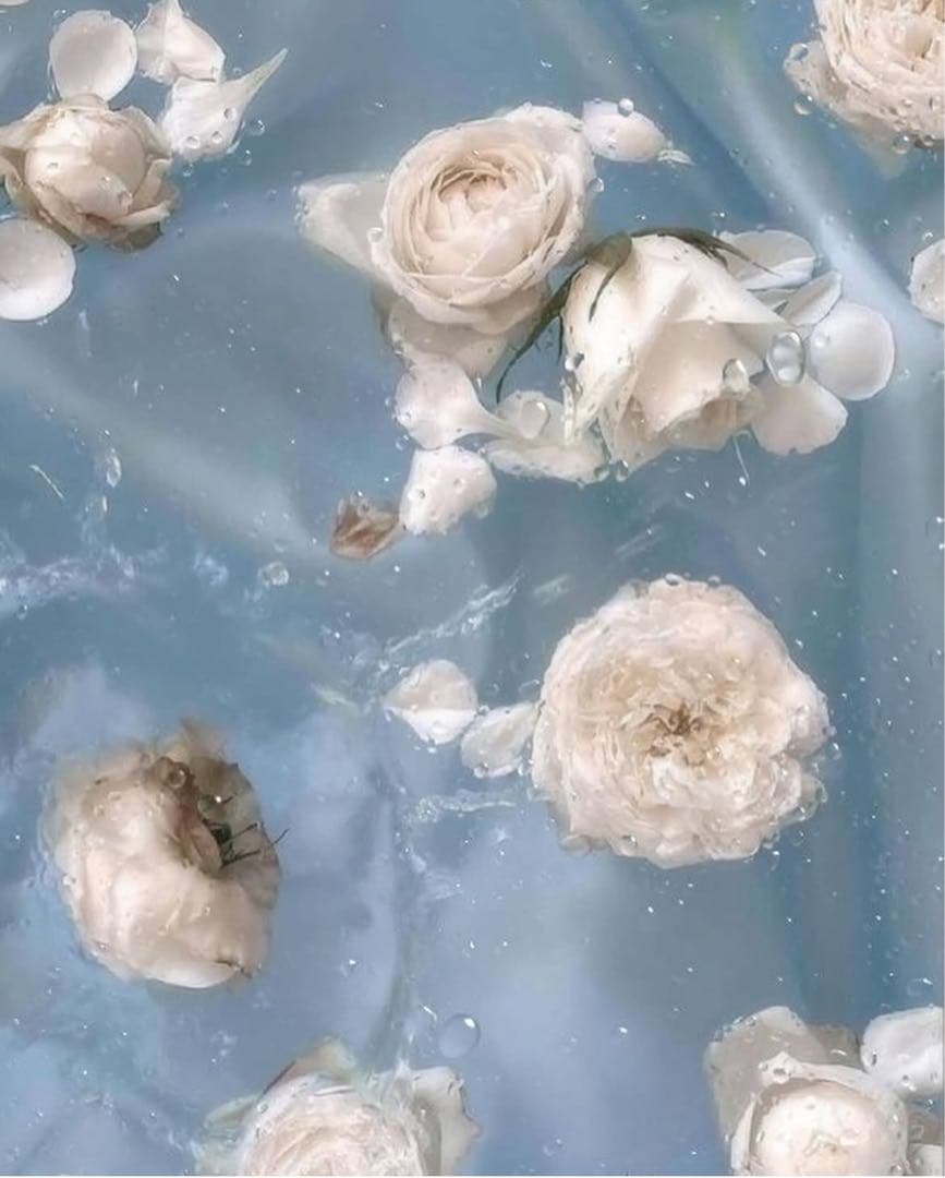 きゃん様オーダー用