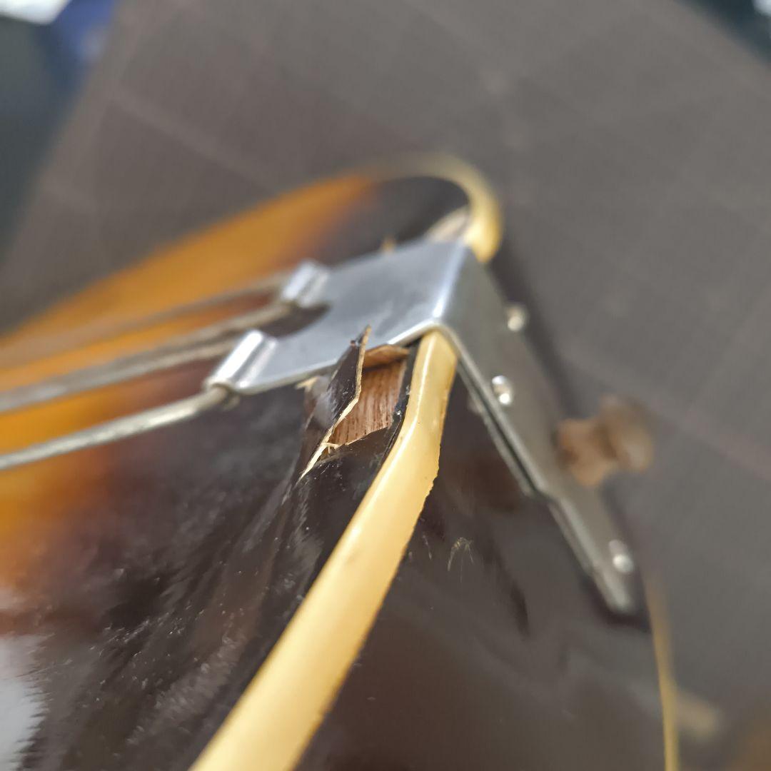 KISO SUZUKI-VIOLIN アーチトップ f ホール ピックギター