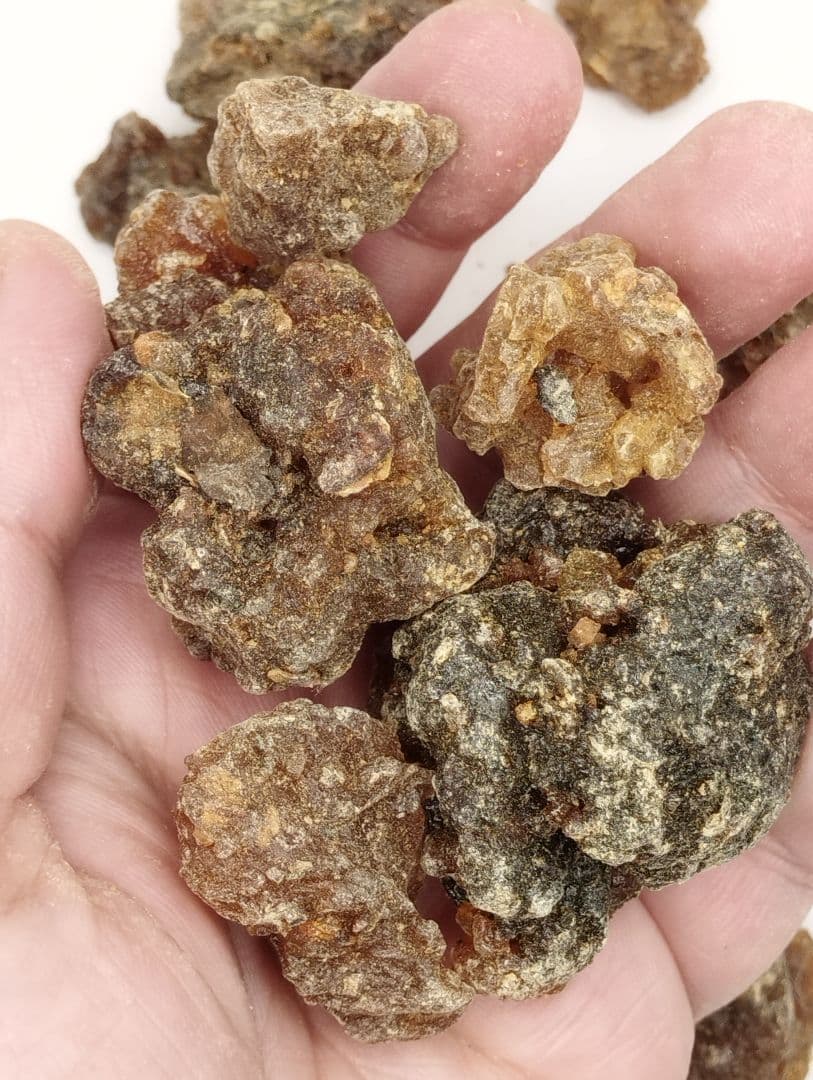 ニーページ☆天然樹脂お香最高級ミルラオマーン産1KG砂漠の花